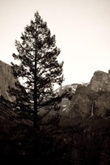 yosemite09-9